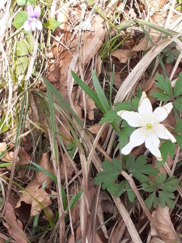 PHOTO-2022-04-14-17-39-44